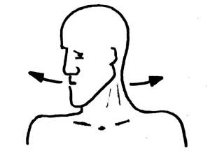 Dolor de espalda - potenciadores musculatura cervical- ejercicio 2
